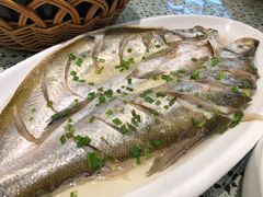 -华庭苑农家乐(旺山店)