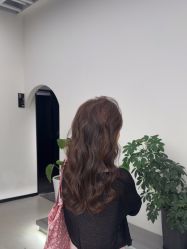 -蚂蚁造型俱乐部