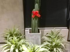 景观位-東舍食唐精品陕菜馆