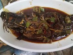 -三亚相缘海鲜·烧烤·糟粕醋(三亚湾店)