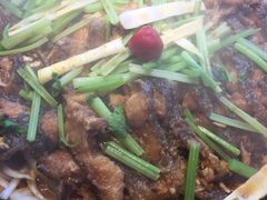 老板恋上鱼-老板恋上鱼(恒隆广场店)