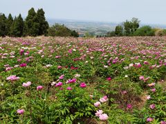 -金堂县云顶石城风景区
