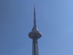 -龙塔