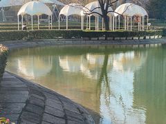 -陆家嘴中心绿地