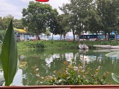 -晓琦农家菜馆·地道农家菜