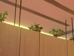 -金掌勺锅包肉(太原万达店)