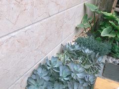 -尼玛藏家风味园(阿山食城店)