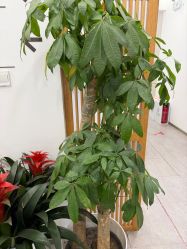 -和颜一美轻医美连锁