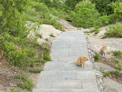 -北京凤凰岭