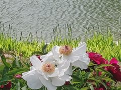 -太原市双塔博物馆(永祚寺)