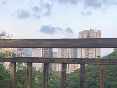 -鲤鱼塘农家山庄