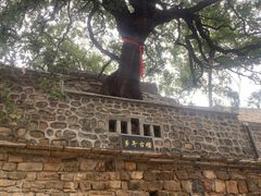 -环翠峪风景区