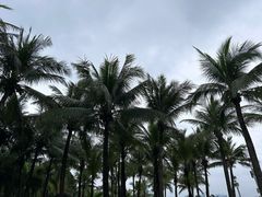 -深圳湾公园(南山区)