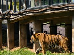 -大连森林动物园