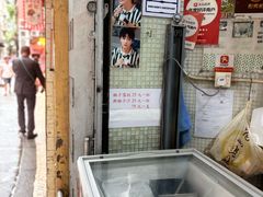 -洪馨椰子