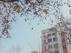 -上海市工商外国语学校