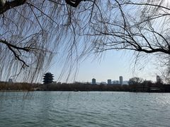 -济南大明湖景区