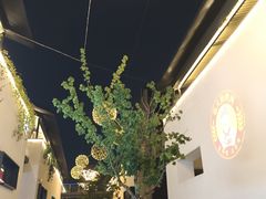 -青果巷历史文化街区