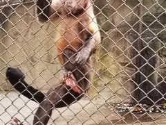 -深圳野生动物园