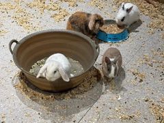 -北京华联合肥长江西路购物中心