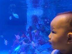 -沈阳海洋探索中心