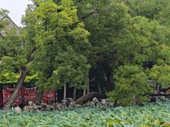 -莲池书院博物馆