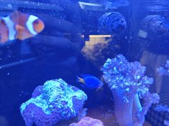 -Rabbit Cafe私房西餐甜点咖啡(栖霞路店)