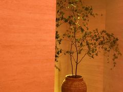 -舒小悦·舒养SPA·古法推拿(光环中心店)