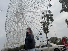 -南昌之星摩天轮