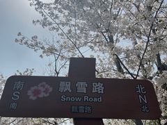 -自然谷恐龙园