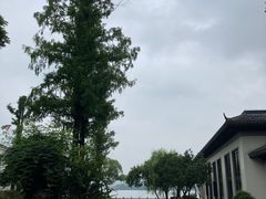 -杭州西湖柳莺里酒店