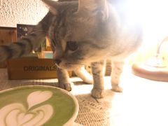 -隅cafe(傅厚岗店)