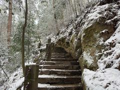 -缙云山景区