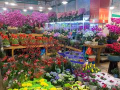 -双季花艺园艺市场(浦东店)