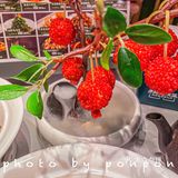 到西安不到这家陕菜馆打卡等于白来！