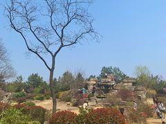 -宝鸡植物园