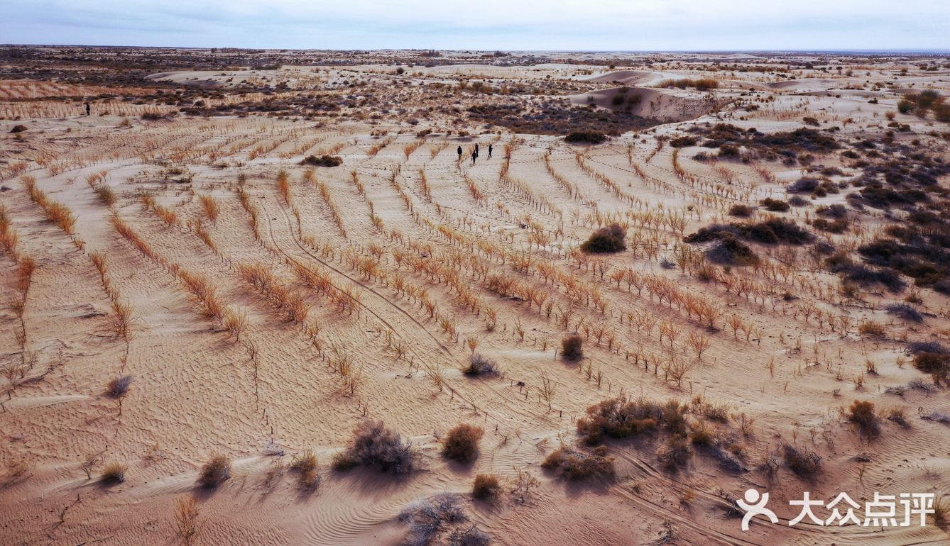 蚂蚁森林小树苗我来啦[调皮]