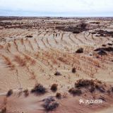 蚂蚁森林小树苗我来啦[调皮]