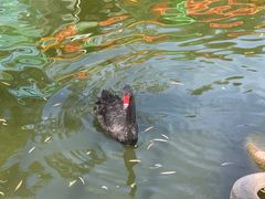 -北京鹿世界主题园