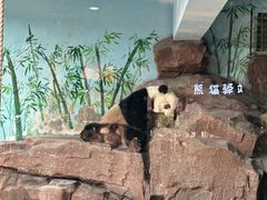 -济南野生动物世界