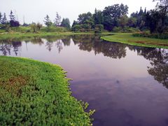 -桤木河湿地公园