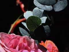 -一坐一忘云南菜(卓悦中心)