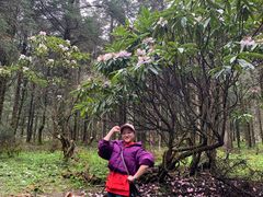 -硗碛藏寨·神木垒景区