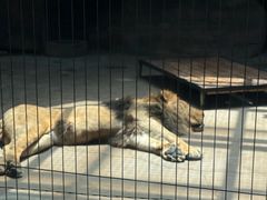 -鄂尔多斯野生动物园