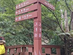 -赤水丹霞旅游区·佛光岩