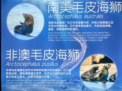 -上海海昌海洋公园