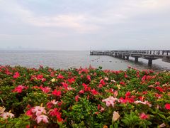 -深圳湾公园(南山区)