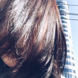 点击看大图 -mod's hair