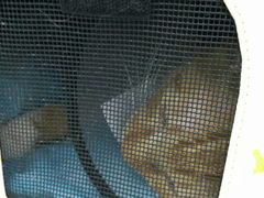 -纳吉亚猫专科动物诊疗中心(蒋宅口分院)