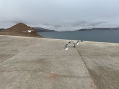 -班公湖
